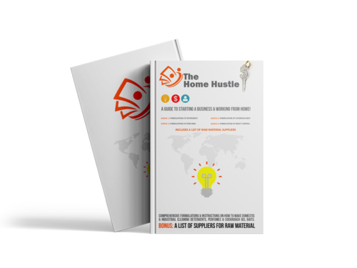 Home Hustle eBook V10