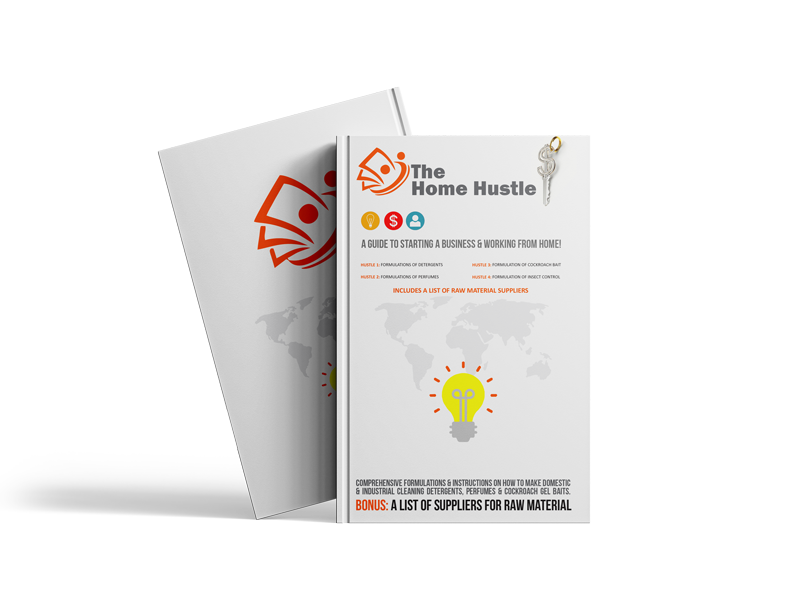 Home Hustle eBook V10